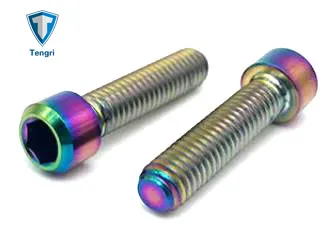 Anodized Colored Bicycle Motorcycle Titanium Screws and Screws
