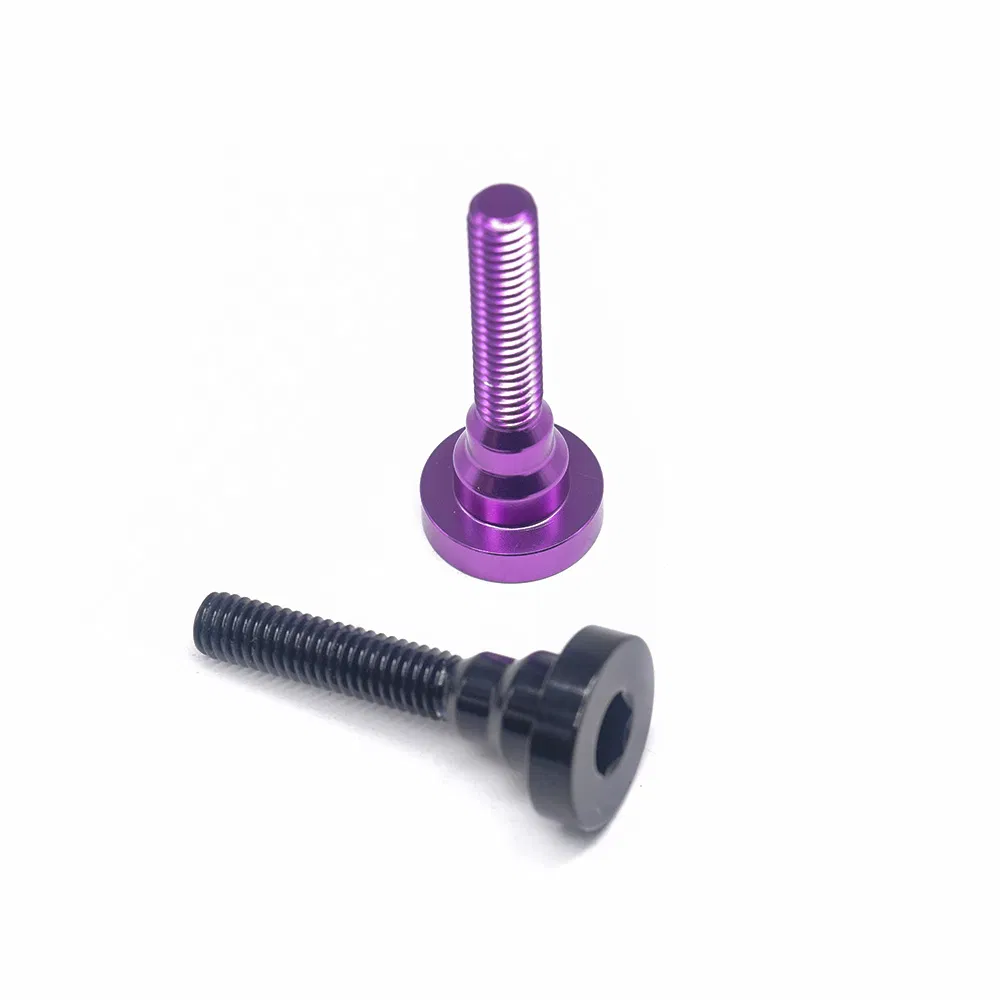 China Custom Many Kinds of Fastener Allen Key Step Screw Inner Hex Head Screw Various Colors Socket Screw for Furniture/Bicycle
