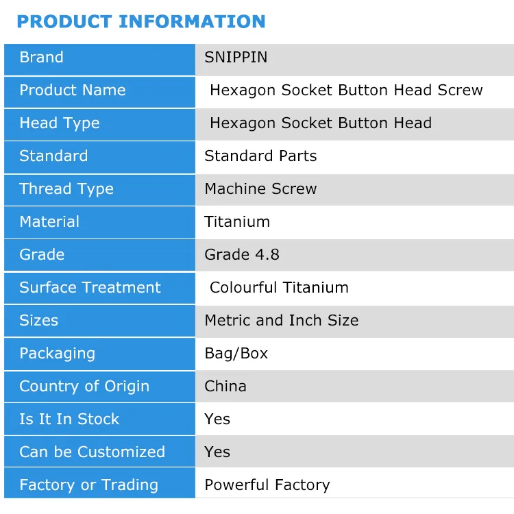 Gr2 Titanium Screw ISO7380 M3 M4 M5 M6 M8 Colourful Titanium Hex Hexagon Socket Button Head Screw for Bicycle Motorcycle Parts