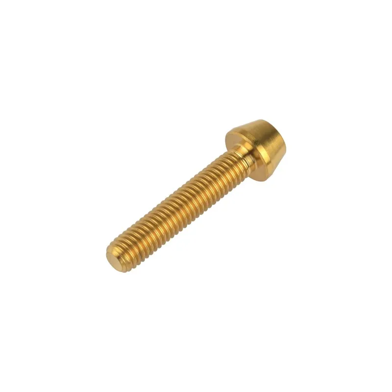 Titanium Alloy Bicycle Rear Derailleur Cone Head Bolts Premium Quality Bike Screws